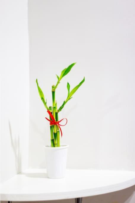 Antonio'S Place, 3 Mins To Mactan Airport, Fast Internet With Netflix Lapu-Lapu City Zewnętrze zdjęcie